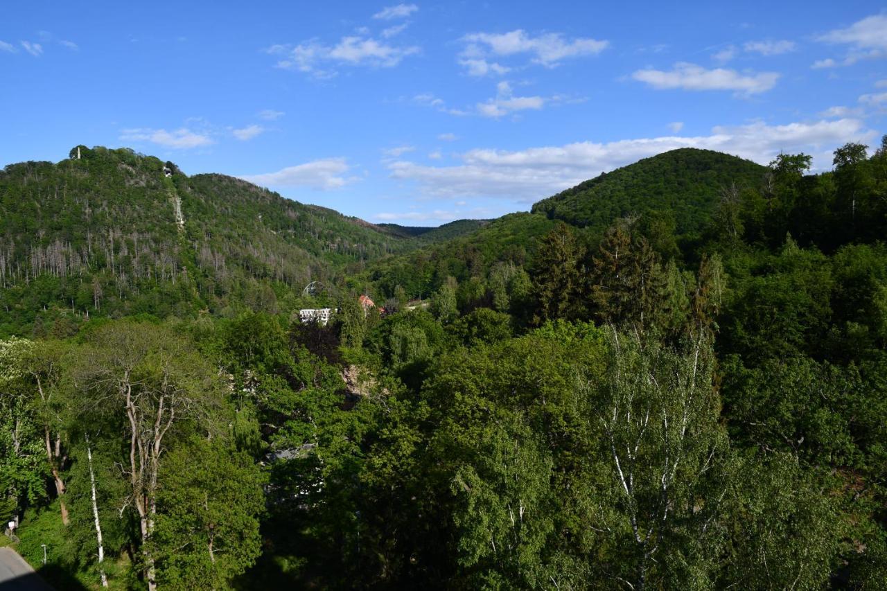 Liebelei Lägenhet Bad Harzburg Exteriör bild